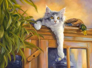 Кот и утка