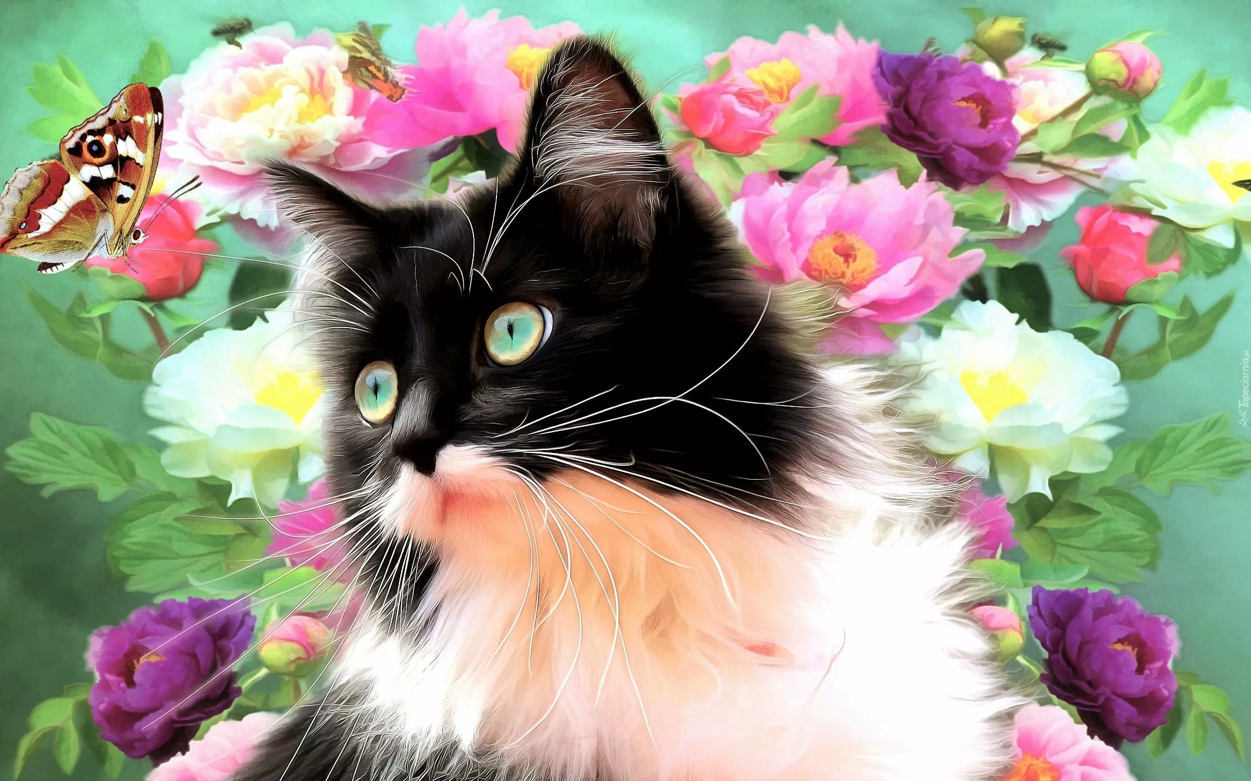 Кошка, цветы и бабочка