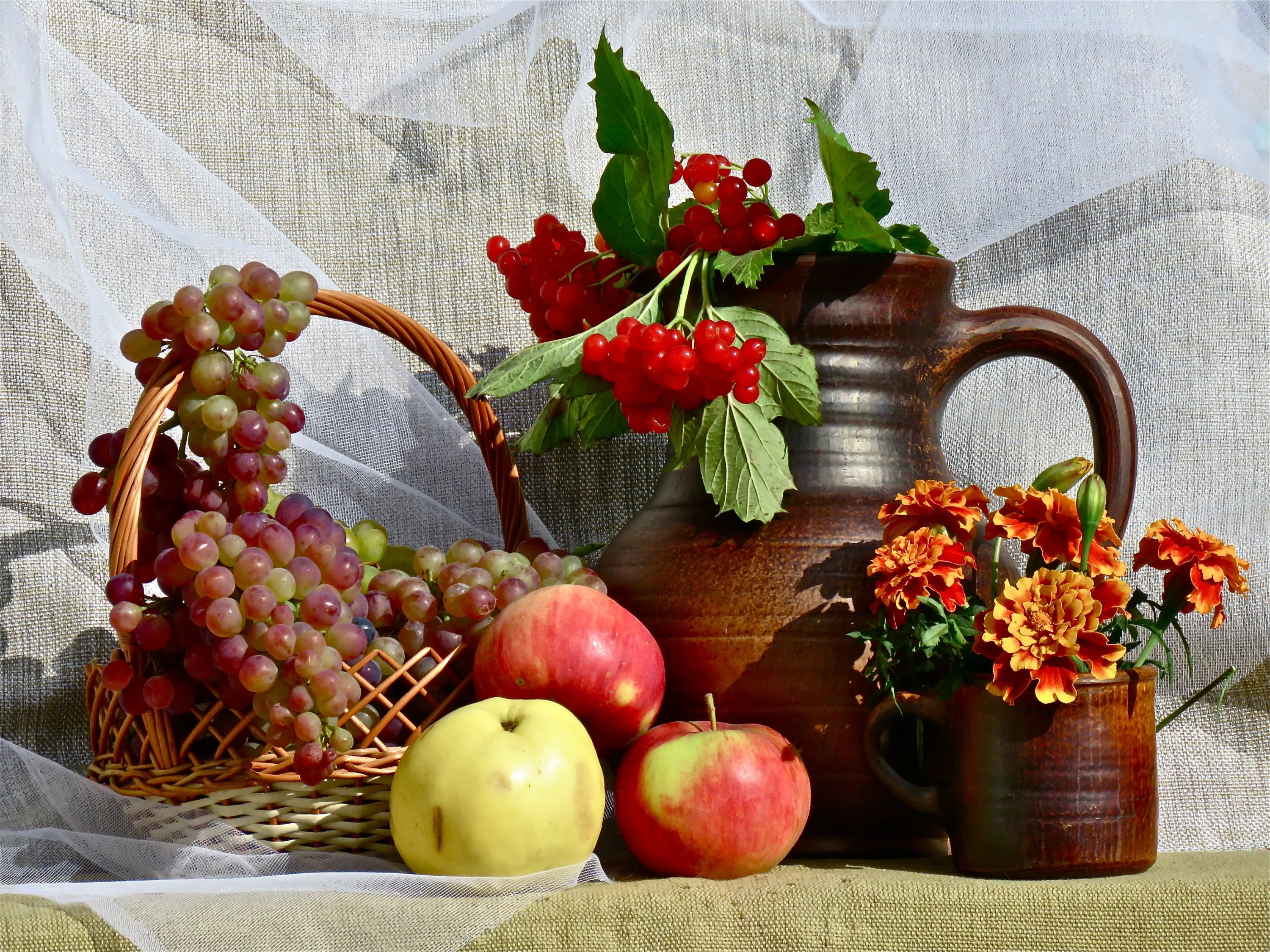 Калина, виноград, яблоки