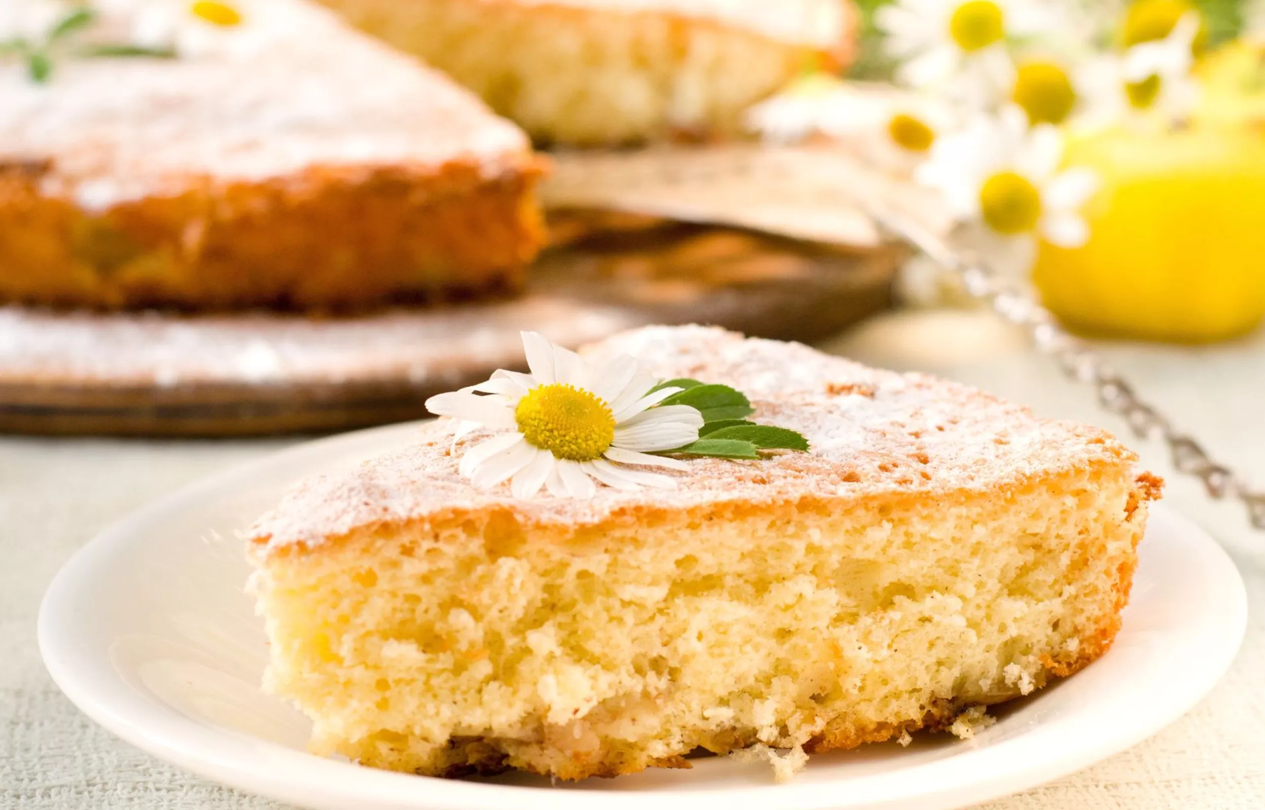 Бисквит с ромашкой