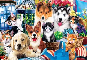 Собачки и кошечки