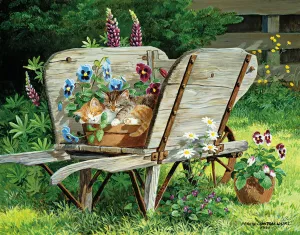 Садовые котята
