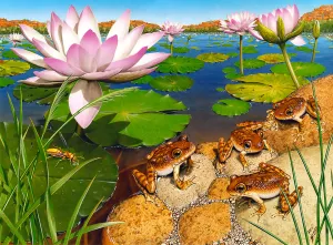 Лягушки и лотосы