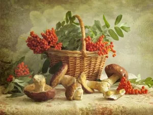 Рябина в корзине и грибы