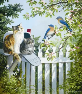 Котики и птички