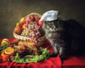 Кошка-повар