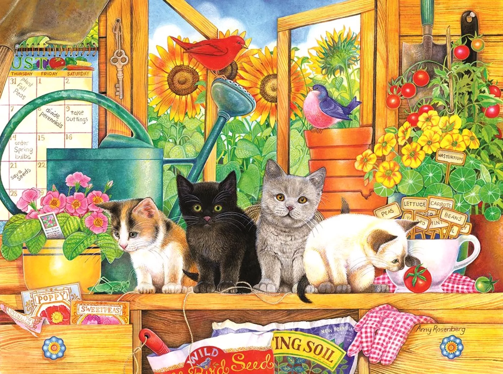 Котята на даче