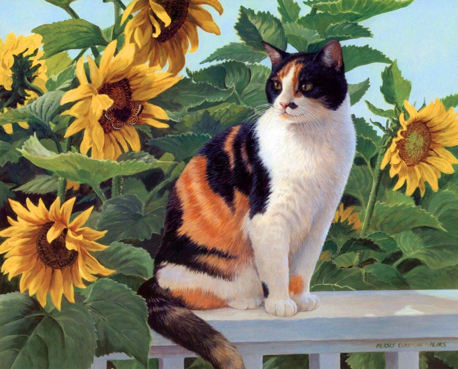 Кот и подсолнухи