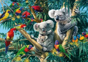 Коалы и попугаи