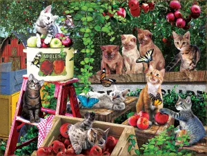 Дачные котята и коты