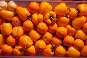 Перцы и апельсины
