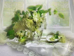 Цветы черемухи