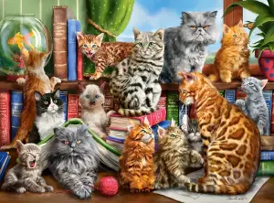 Коты и котята