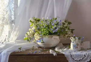 Вишня и незабудки