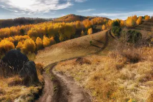 Золотые холмы
