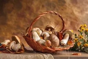 Грибное лукошко и цветы