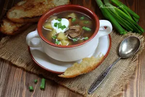 Грибной суп с гренками