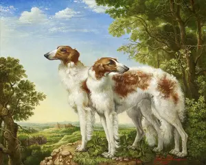 Борзые собаки
