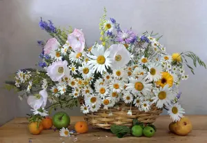 Ромашки, маки и яблоки
