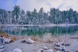 Озеро и лес зимой