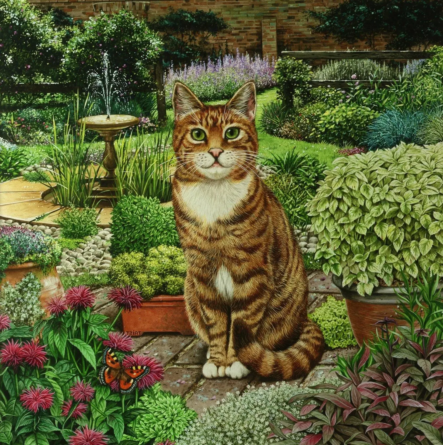 Кот и сад