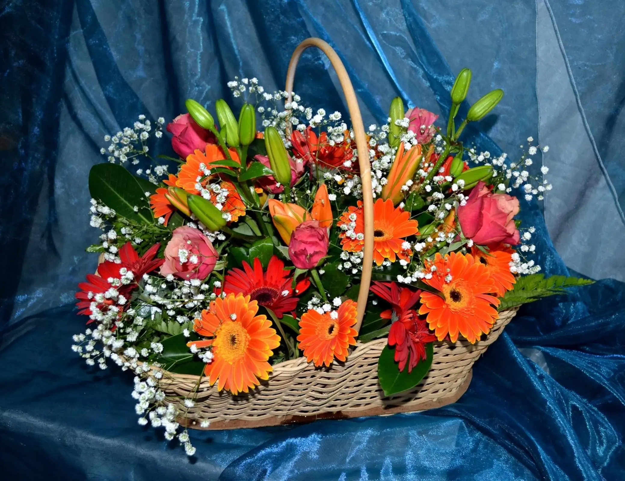 Герберы и органза