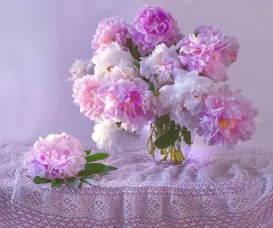 Пионы на скатерти
