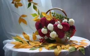 Осенние цветы и листья