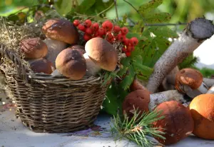 Корзинка с боровиками