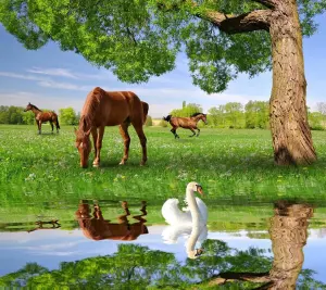 Лошадки и лебедь