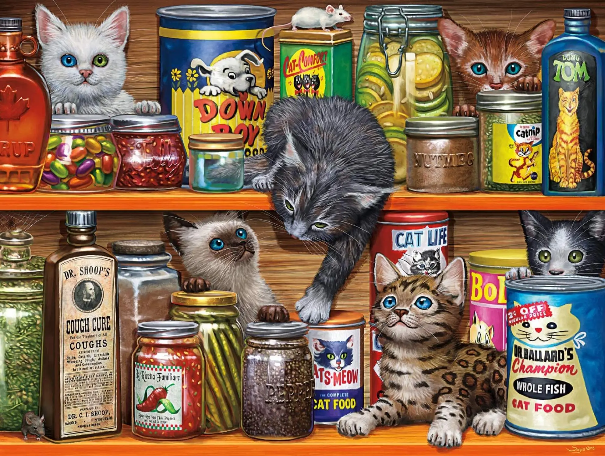 Котики на полках