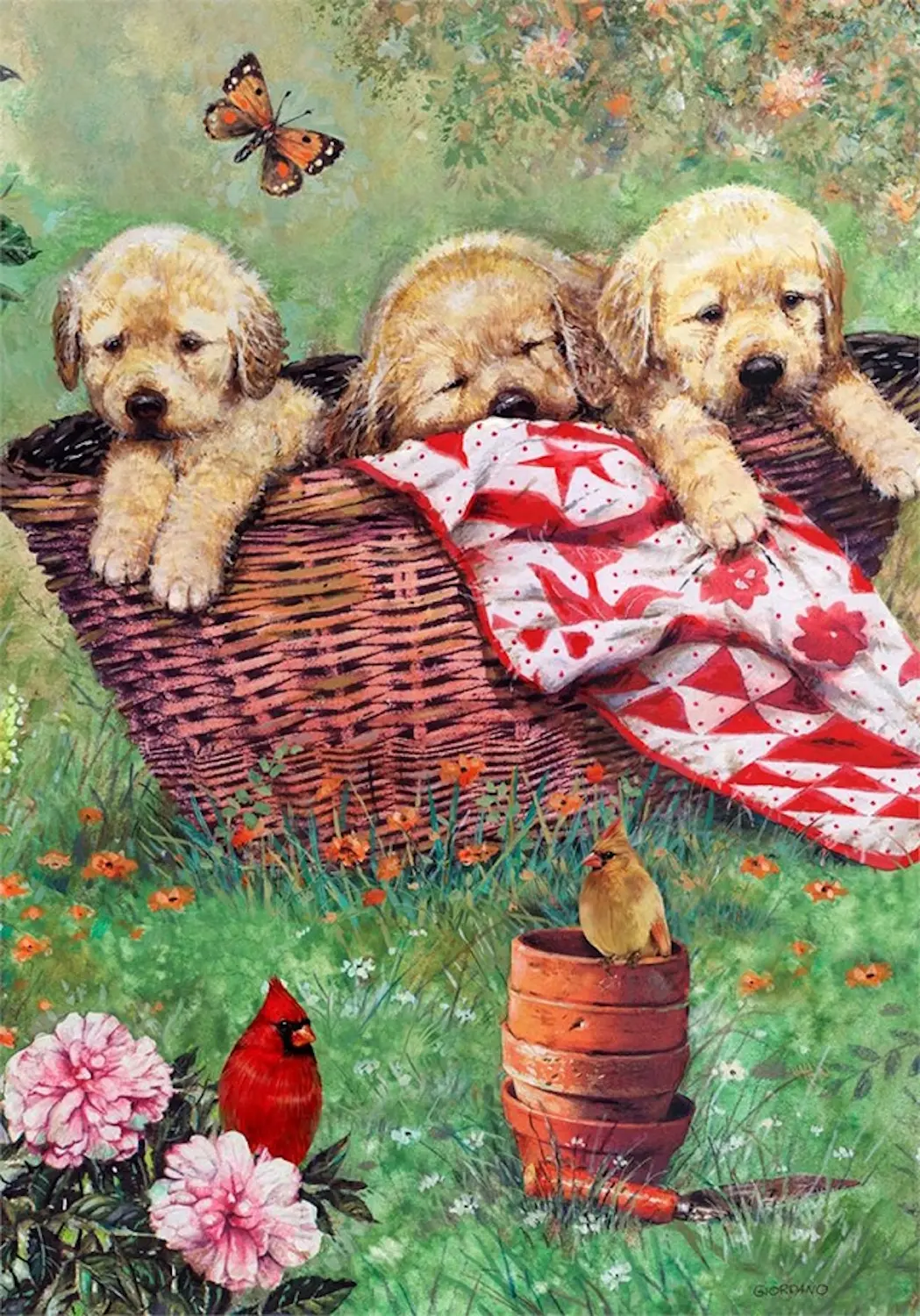 Щенки на полянке