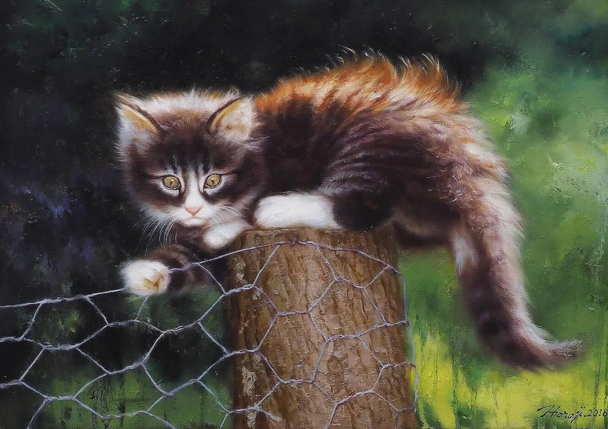 Испуганный котенок