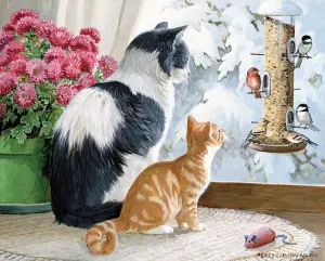 Наблюдательные коты