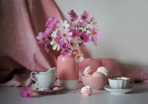 Космеи и зефир