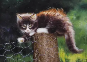 Испуганный котенок