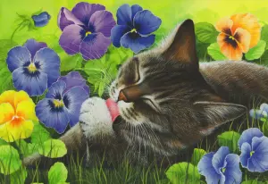 Кот и фиалки