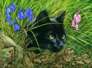 Кот и колокольчики