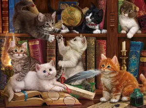Котята читатели