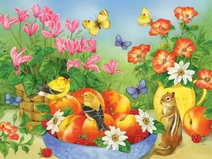 Птицы, фрукты, бурундук