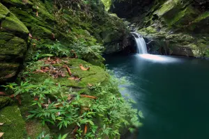 Водопад и камни в мхе