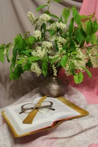 Черемуха и книга с очками