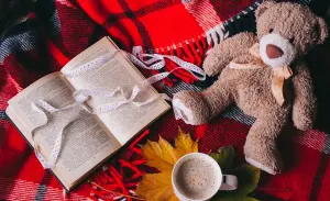 Мишка и книга