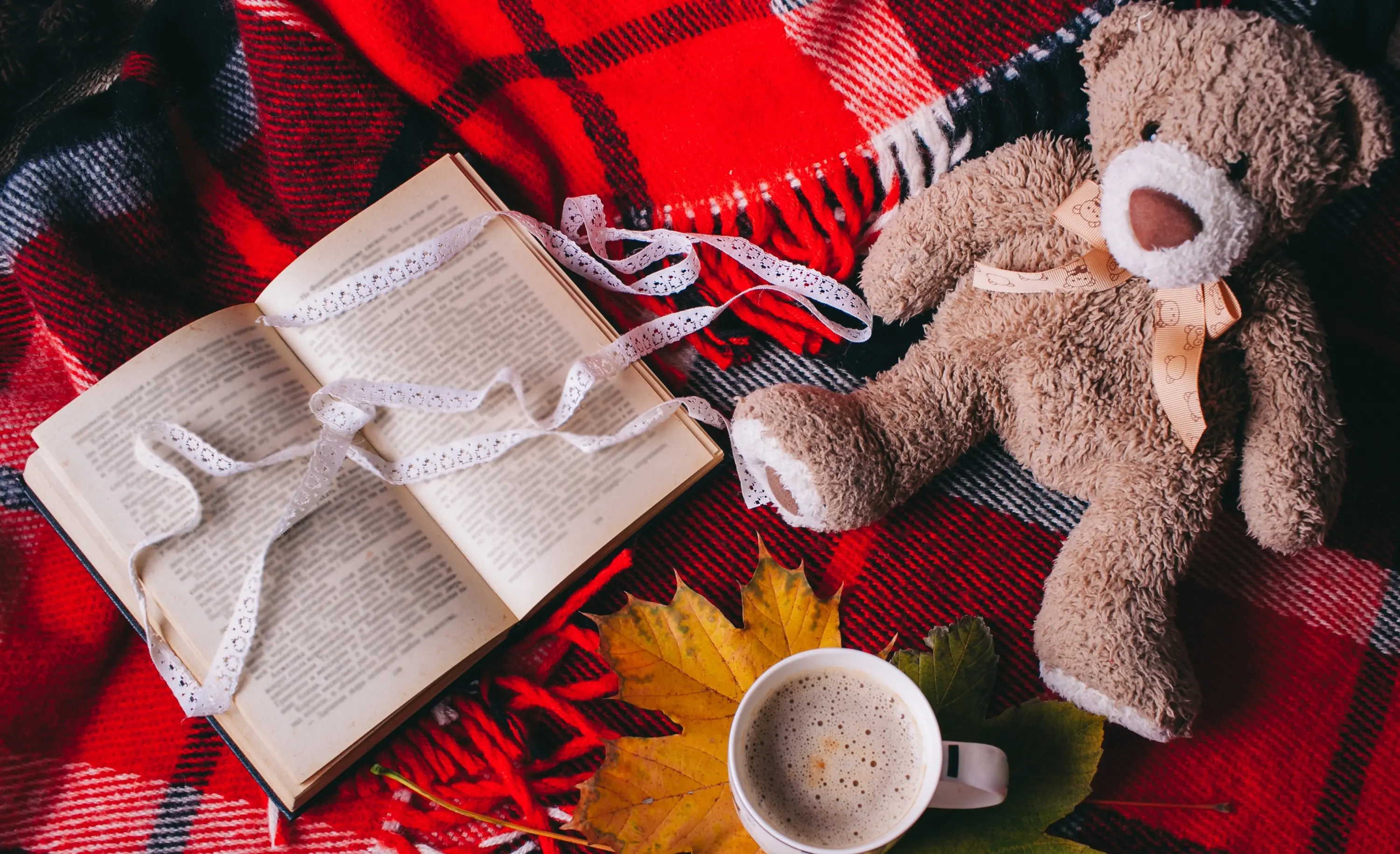 Мишка и книга